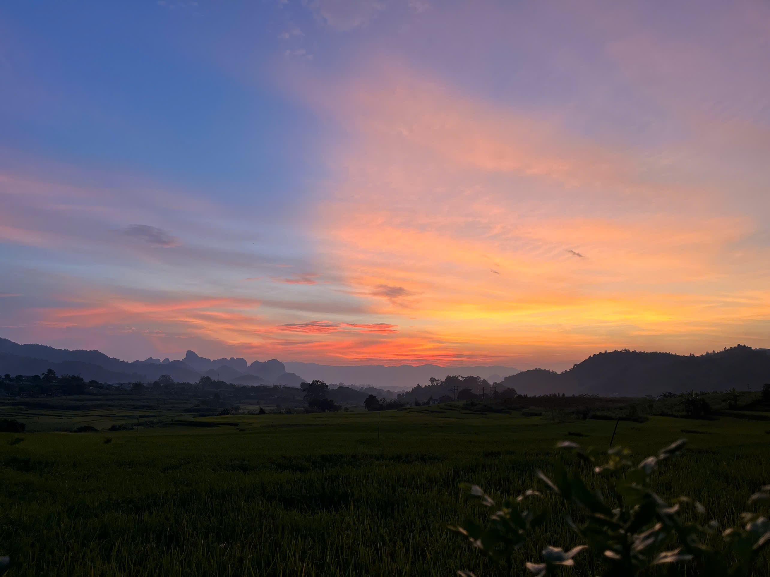 Picture of the author